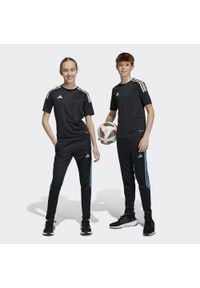Adidas - Spodnie dla dzieci adidas Tiro 23 Club Training. Kolor: czarny, niebieski, wielokolorowy. Sport: joga i pilates