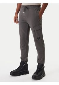 C.P. Company Spodnie dresowe 20CMSP067A110044R Szary Slim Fit. Kolor: szary. Materiał: bawełna #1