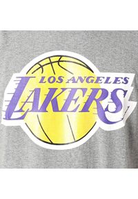 Koszulka do koszykówki męska Mitchell & Ness NBA Los Angeles Lakers. Kolor: szary. Sport: koszykówka