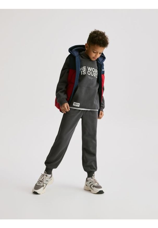 Reserved - Bluza z kapturem - ciemnoszary. Typ kołnierza: kaptur. Kolor: szary. Materiał: bawełna, dzianina