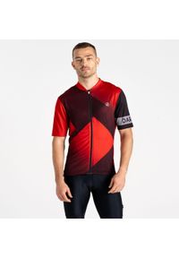 DARE 2B - Koszulka rowerowa męska AEP Pedal z krótkim rękawem. Kolor: czerwony. Długość rękawa: krótki rękaw. Długość: krótkie. Sport: turystyka piesza