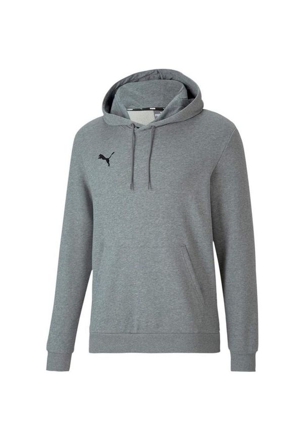 Puma - Męska Bluza Z Kapturem TeamGoal 23. Typ kołnierza: kaptur. Kolor: szary