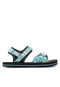 Sandały Vans. Kolor: zielony #1