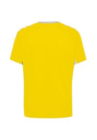 Koszulka sportowa z krótkim rękawem męska Hummel Core Team Jersey S/S. Kolor: żółty. Materiał: jersey. Długość rękawa: krótki rękaw. Długość: krótkie