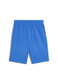 Szorty Puma ESS 2 Color No. 1 10. Kolor: niebieski. Długość: krótkie. Sezon: lato