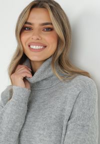 Born2be - Szara Sukienka Dzianinowa Classificator. Okazja: na co dzień. Typ kołnierza: golf. Kolor: szary. Materiał: dzianina. Długość rękawa: długi rękaw. Sezon: zima, jesień. Typ sukienki: proste. Styl: casual #2