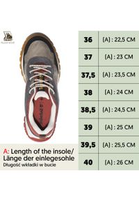 Półbuty damskie Timberland Lincoln Peak Low GTX z membraną Gore-tex. Kolor: szary