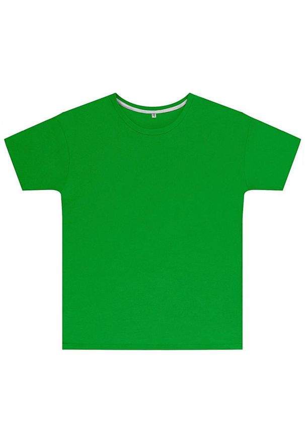 SG - Koszulka Dziecięca Perfect Print. Kolor: zielony. Wzór: nadruk. Sport: turystyka piesza