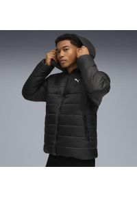 Puma - Męska kurtka wyściełana Essentials z kapturem PUMA Black. Typ kołnierza: kaptur. Kolor: czarny. Materiał: puch. Sport: turystyka piesza