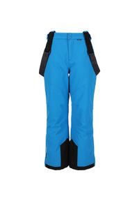 Dziecięce spodnie narciarskie Whistler Drizzle 10000. Kolor: niebieski. Sezon: zima. Sport: narciarstwo #1