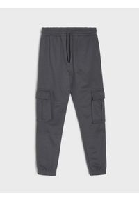 Sinsay - Spodnie dresowe cargo loose - szary. Kolor: szary. Materiał: dresówka