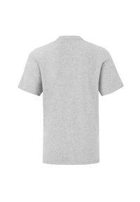 FRUIT OF THE LOOM - Koszulka Dziecięca Iconic Heather. Kolor: szary