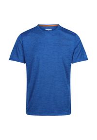 Regatta - T-shirt Męski Melanżowy Fingal Edition. Kolor: zielony. Wzór: melanż