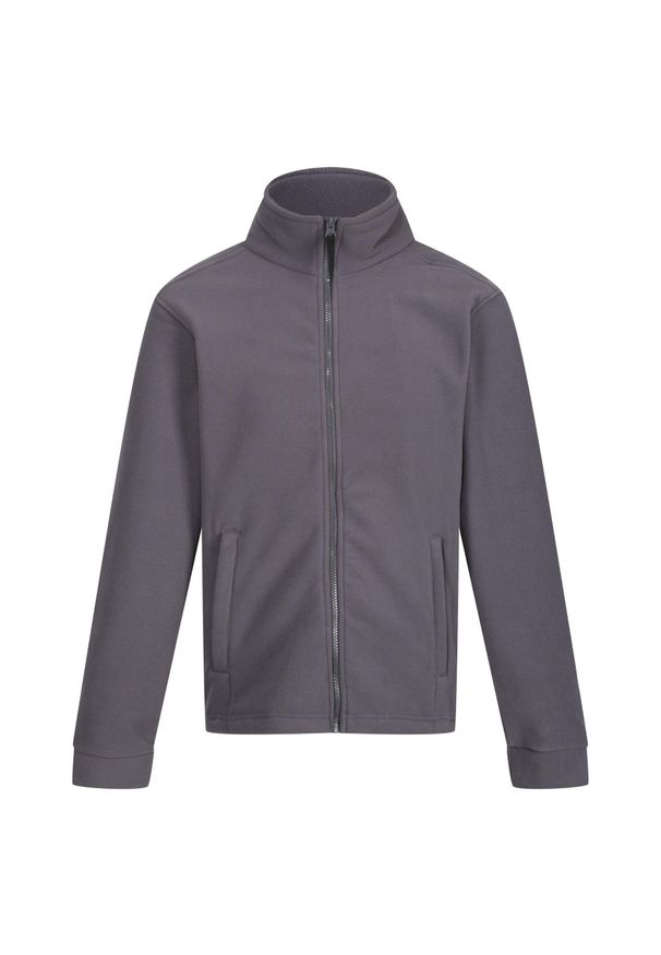 Regatta - Bluza Polarowa Męska Thor 300. Kolor: szary. Materiał: polar. Sezon: zima. Styl: sportowy. Sport: turystyka piesza