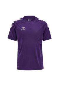 Koszulka sportowa z krótkim rękawem dziecięca Hummel Core XK Kids Poly T-Shirt. Kolor: niebieski, wielokolorowy, biały. Długość rękawa: krótki rękaw. Długość: krótkie. Sport: koszykówka