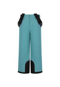 ZigZag - Dziecięce spodnie narciarskie Zigzag Provo. Kolor: niebieski. Sezon: zima. Sport: narciarstwo #1