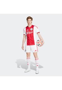 Adidas - Koszulka piłkarska ADIDAS Ajax Amsterdam 25/26 domowa. Sezon: lato. Sport: piłka nożna