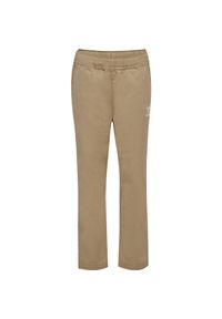 Spodnie dziecięce Hummel Hamil. Kolor: brązowy. Wzór: haft #1