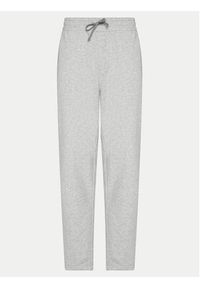 Quiksilver Spodnie dresowe Salt Water AQYFB03034 Szary Regular Fit. Kolor: szary. Materiał: bawełna