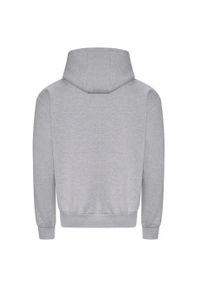 AWDIS - Bluza Z Kapturem Dla Dorosłych Unisex Signature Heather Heavyweight. Typ kołnierza: kaptur. Kolor: szary