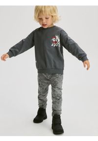 Reserved - Legginsy Psi Patrol - ciemnoszary. Kolor: szary. Materiał: dzianina, bawełna #1