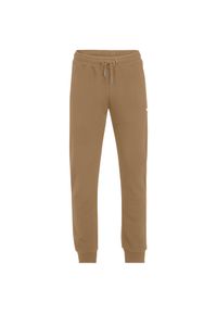 Jogging Fila Braives. Kolor: brązowy. Sport: bieganie #1