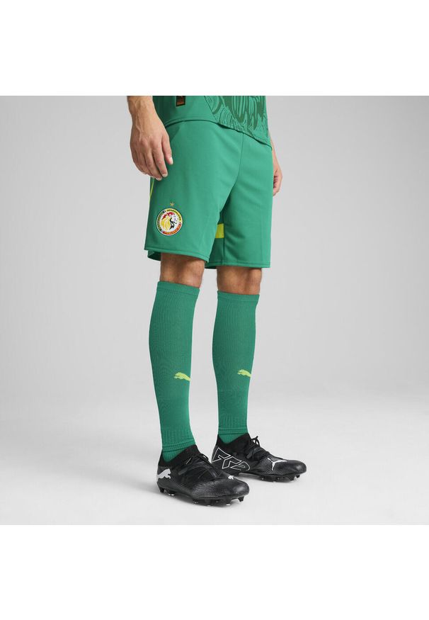 Puma - Męskie szorty Senegal 2025 PUMA Sport Green Electric Lime. Kolor: zielony. Wzór: aplikacja. Sport: piłka nożna