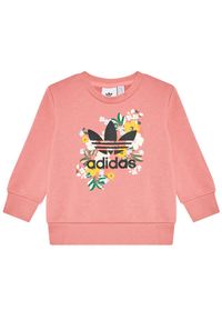 Adidas - adidas Dres HER Studio London Floral Crew Set GN2256 Różowy Standard Fit. Kolor: różowy. Materiał: dresówka #5
