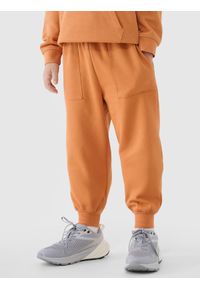 4f - 4F Spodnie dresowe joggery chłopięce - pomarańczowe 122 (6-7 lat). Okazja: na co dzień. Kolor: pomarańczowy. Materiał: dresówka. Wzór: gładki, ze splotem. Sezon: lato. Styl: młodzieżowy, casual, sportowy #2