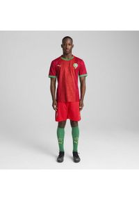 Puma - Męskie szorty Maroko 2025 PUMA Red Archive Green. Kolor: czerwony, wielokolorowy, zielony