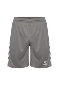 Szorty Hummel Core 2.0. Kolor: szary, wielokolorowy, biały. Sport: fitness #1