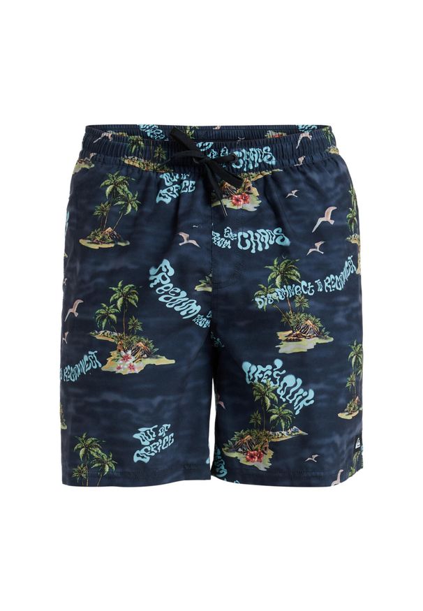 Quiksilver - Szorty kąpielowe dla Mężczyzn EVERYDAY STRAIGHT VOLLEY 17" Czarny. Kolor: niebieski. Materiał: poliester, materiał. Styl: sportowy