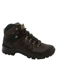 Buty trekkingowe męskie Grisport Marrone Dakar Pecos 2. Wysokość cholewki: za kostkę. Zapięcie: sznurówki. Kolor: wielokolorowy, zielony. Materiał: guma, materiał, skóra, tkanina. Szerokość cholewki: normalna