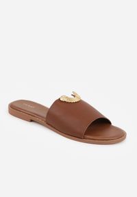 Renee - Ciemnobrązowe Klapki VICES Ozdobione Wycięciami i Metaliczną Aplikacją Genereida. Kolor: brązowy. Wzór: aplikacja #7