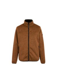 Polar zapinany na zamek błyskawiczny Regatta Branleigh. Kolor: brązowy. Materiał: polar. Sport: turystyka piesza #1