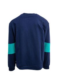 Bluza Diadora Crew Shield, Mężczyźni. Kolor: niebieski. Sezon: zima