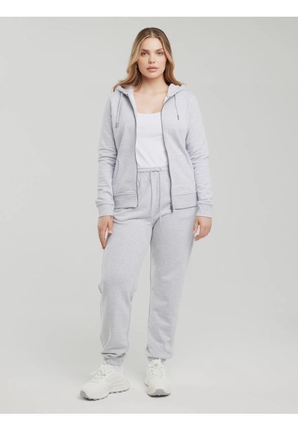 Big-Star - Spodnie damskie dresowe szare Yeva 901. Kolor: szary. Materiał: dresówka