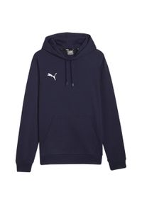 Bluza męska Puma Team Goal Casuals Hoody. Kolor: niebieski. Sport: koszykówka