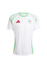 Adidas - Koszulka Algeria 24 Home. Kolor: zielony, biały, wielokolorowy. Sport: piłka nożna