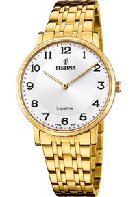 Zegarek męski Festina F20046-1 złoty. Kolor: złoty #1