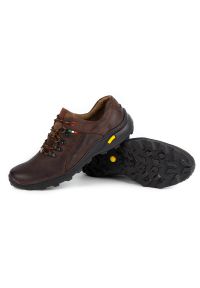 Olivier Męskie buty trekkingowe 296GT brązowe. Kolor: brązowy #8