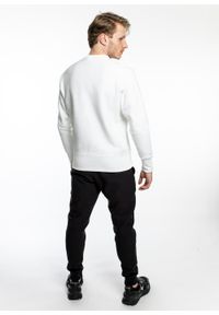 Bluza Champion Premium Crewneck Sweatshirt (214676-WW001). Kolor: biały. Materiał: materiał. Styl: sportowy, elegancki