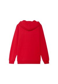 Puma - Bluza Z Kapturem Dziecięca Team Goal Casuals. Typ kołnierza: kaptur. Kolor: czerwony