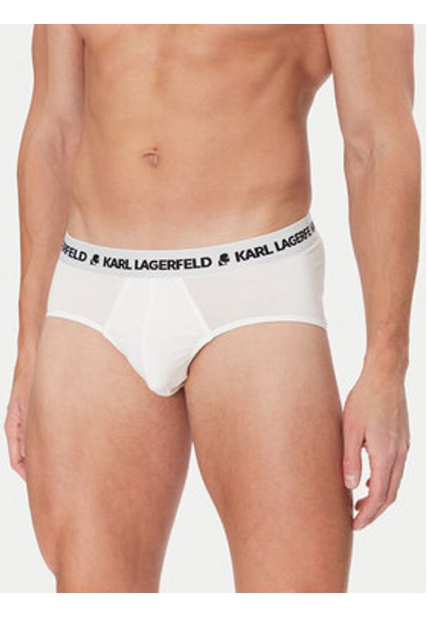 Karl Lagerfeld - KARL LAGERFELD Komplet slipów A1M47152 Kolorowy. Materiał: bawełna. Wzór: kolorowy