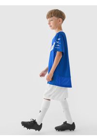 4f - 4F Koszulka klubowa domowa z sezonu 2024/25 chłopięca 4F x Stal Mielec - multikolor 110/116. Okazja: do domu. Kolor: wielokolorowy. Materiał: dzianina. Sezon: lato