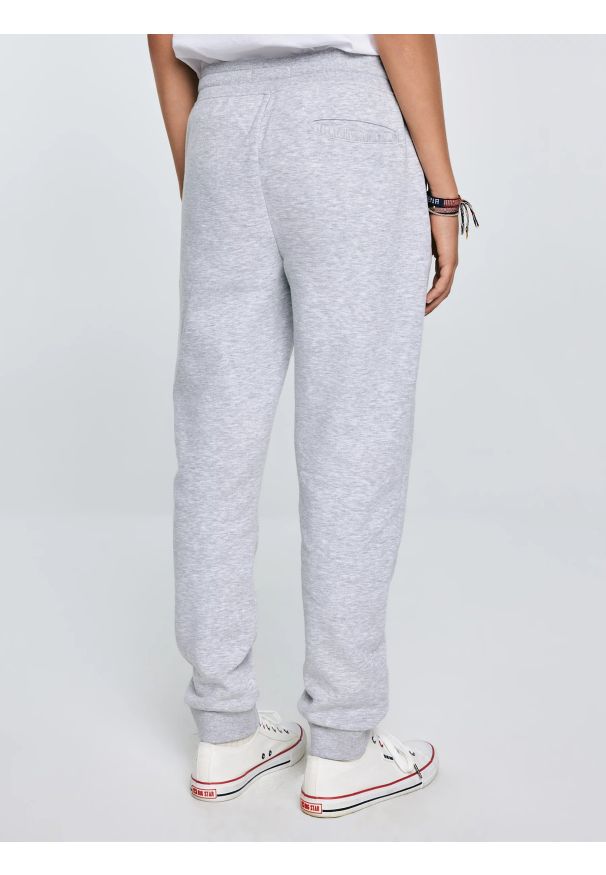 Big-Star - Spodnie chłopięce dresowe szare Lironp 901. Okazja: na co dzień. Kolor: szary. Materiał: dresówka. Wzór: haft. Styl: casual, elegancki, sportowy, klasyczny