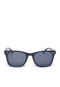 Okulary przeciwsłoneczne Quiksilver. Kolor: czarny