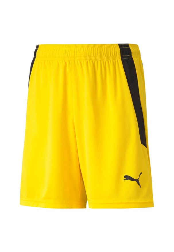 Spodenki dziecięce Puma Team Liga. Okazja: na co dzień. Kolor: czarny, pomarańczowy, wielokolorowy, żółty. Styl: sportowy, casual
