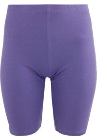 ZSPORT - Damskie Szorty Elastyczne 2XL - Dorina Violet Athl. DPT. Kolor: fioletowy. Materiał: elastan, bawełna. Długość: krótkie