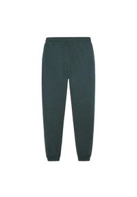 GIRLFRIEND COLLECTIVE - Womens/Ladies Reset Straight Leg Slim Jogging Bottoms. Kolor: zielony. Sport: bieganie